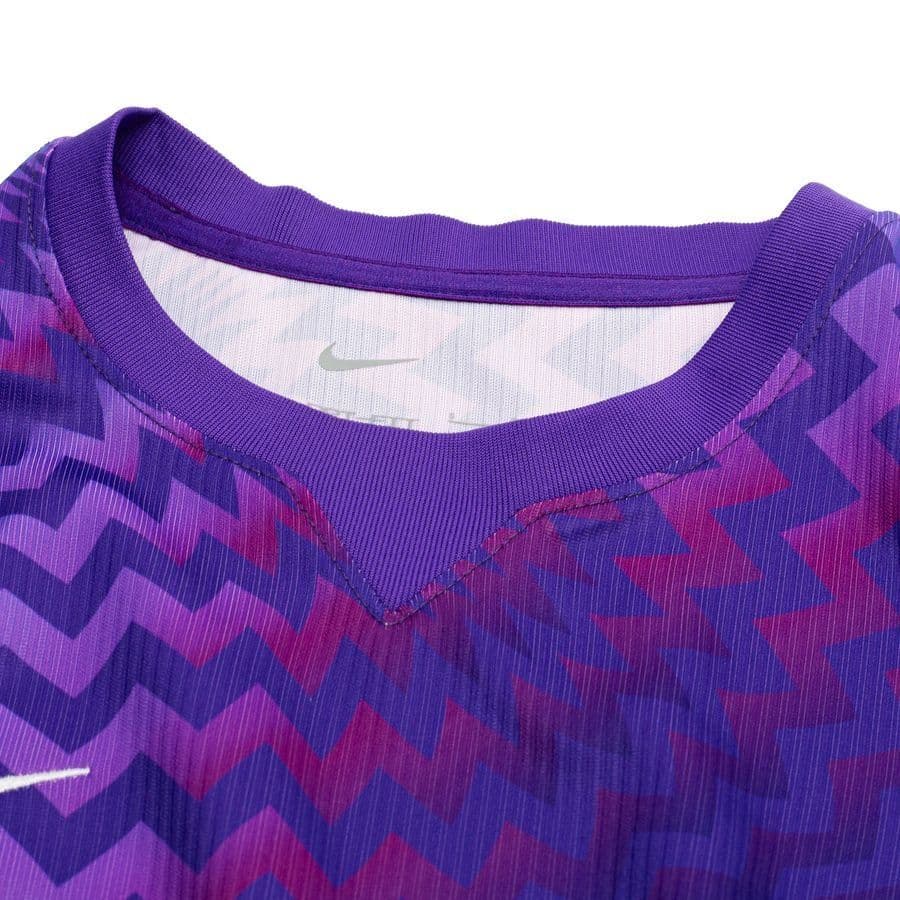 Nike Keepersshirt Dri-fit Gardien Vi Dames, foto 2