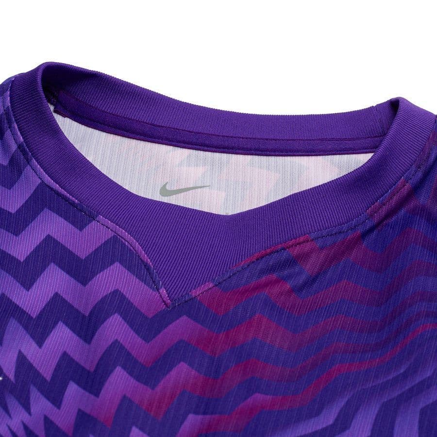 Nike Keepersshirt Dri-fit Gardien V L/m Dames, foto 2