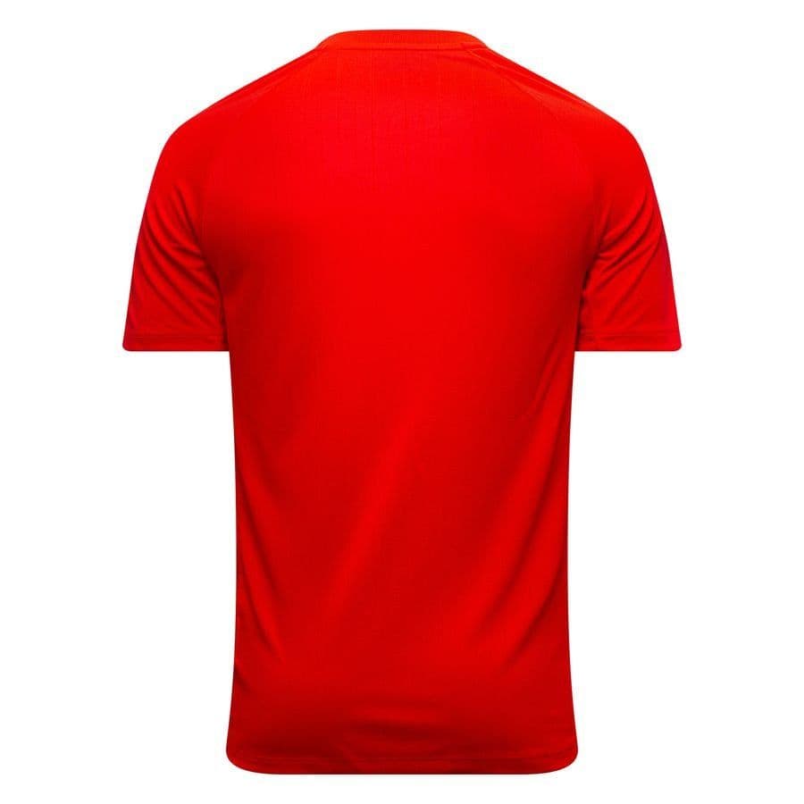 Nike Scheidsrechtersshirt Dri-fit Iii, foto 7