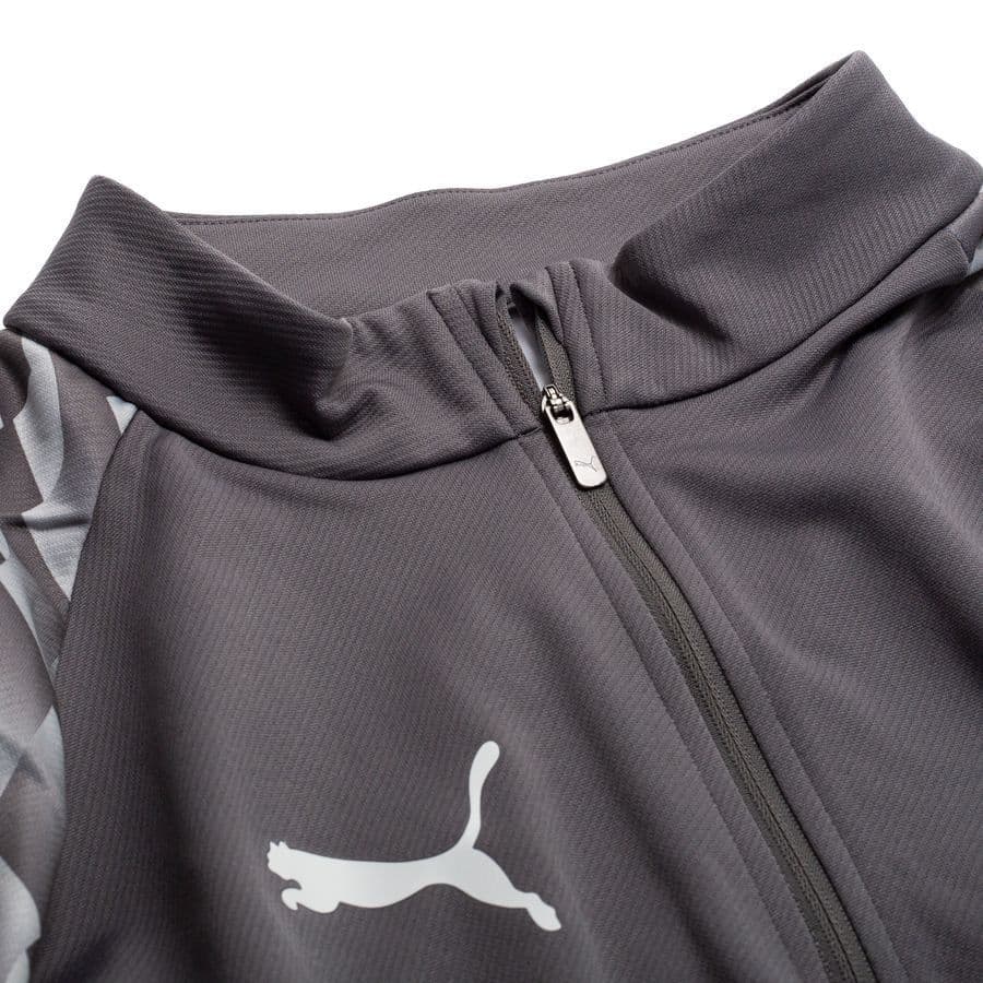 Puma Trainingsshirt Teamliga26 Kwartrits, foto 2