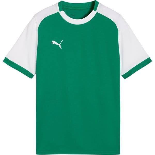 Puma Voetbalshirt Teamliga26 Matchday, foto 2