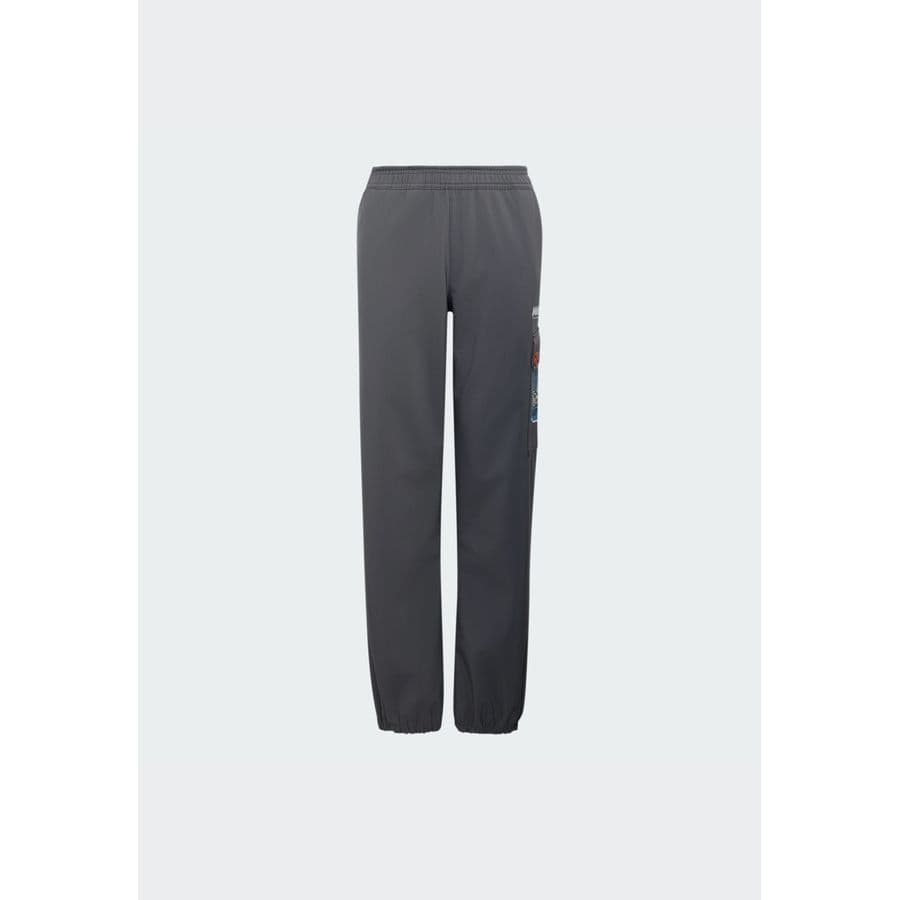 adidas Minecraft Terrex Climawarm Softshell Broek, foto 7