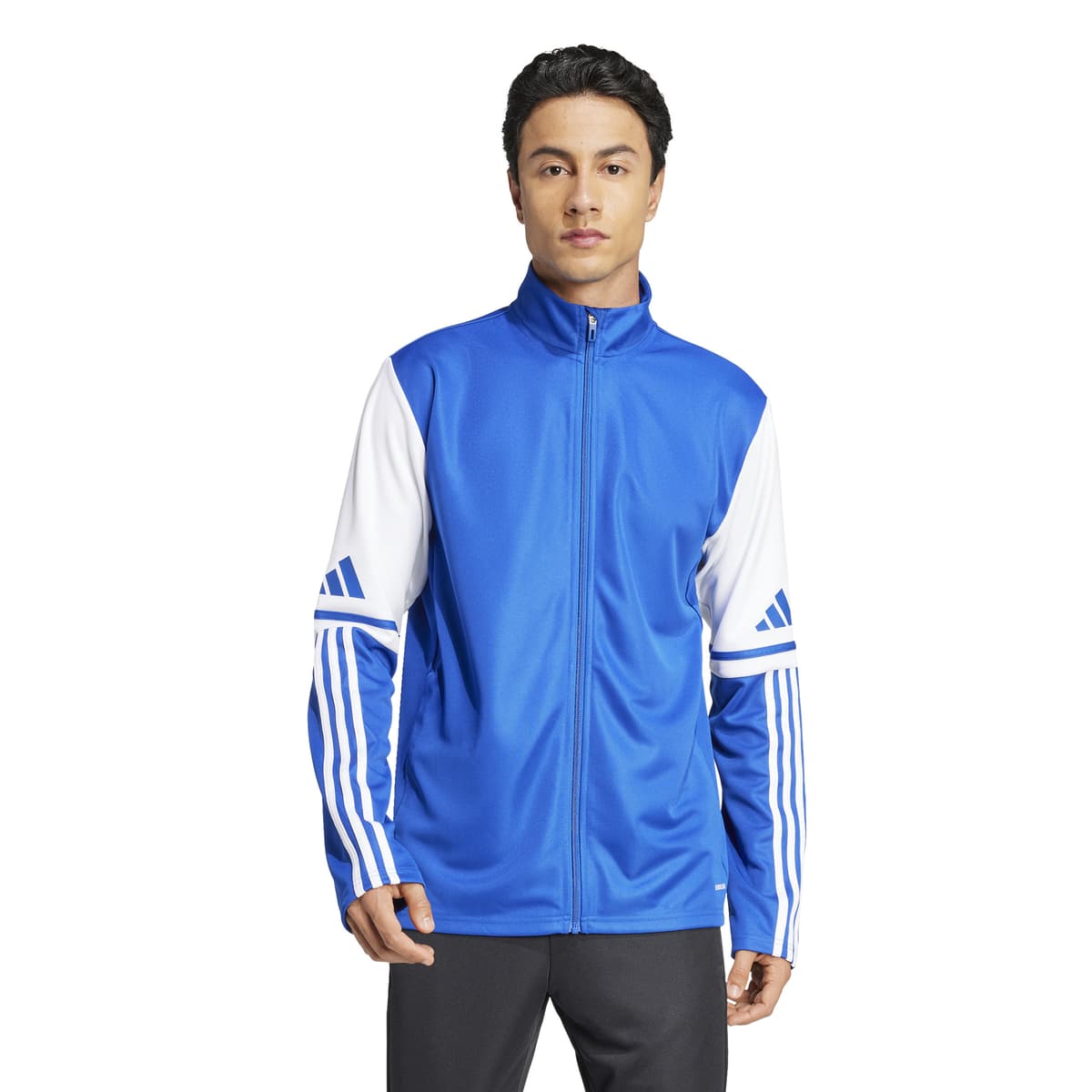adidas Squadra 25 Trainingsjack