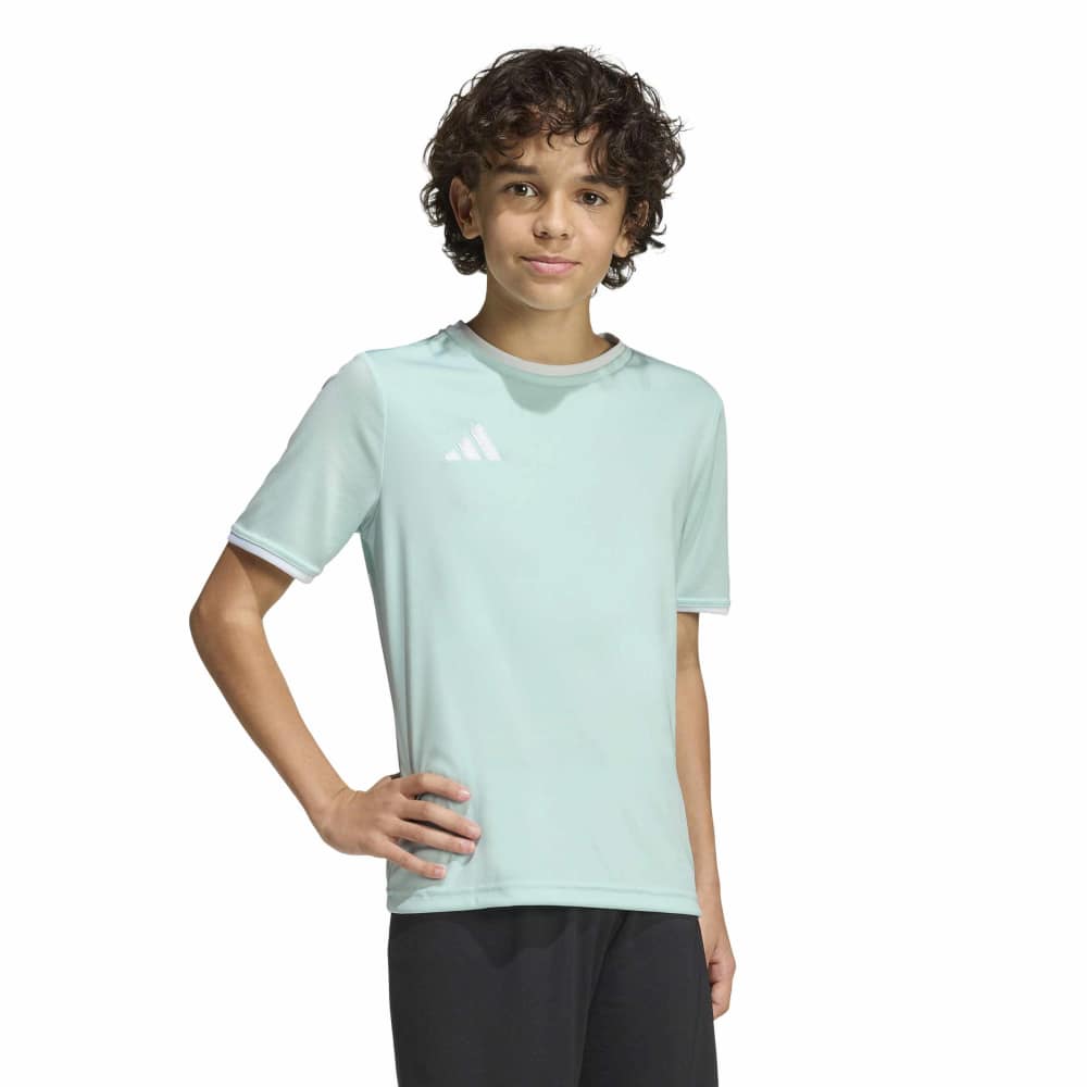 adidas Entrada 26 Voetbalshirt Kids Mintgroen