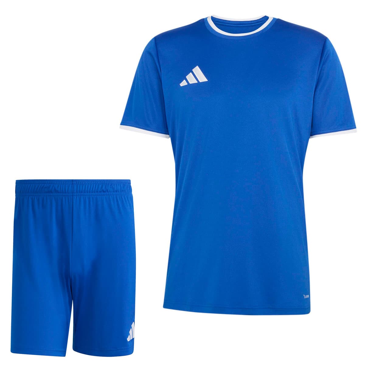 adidas Entrada 26 Voetbaltenue in Blauw Wit
