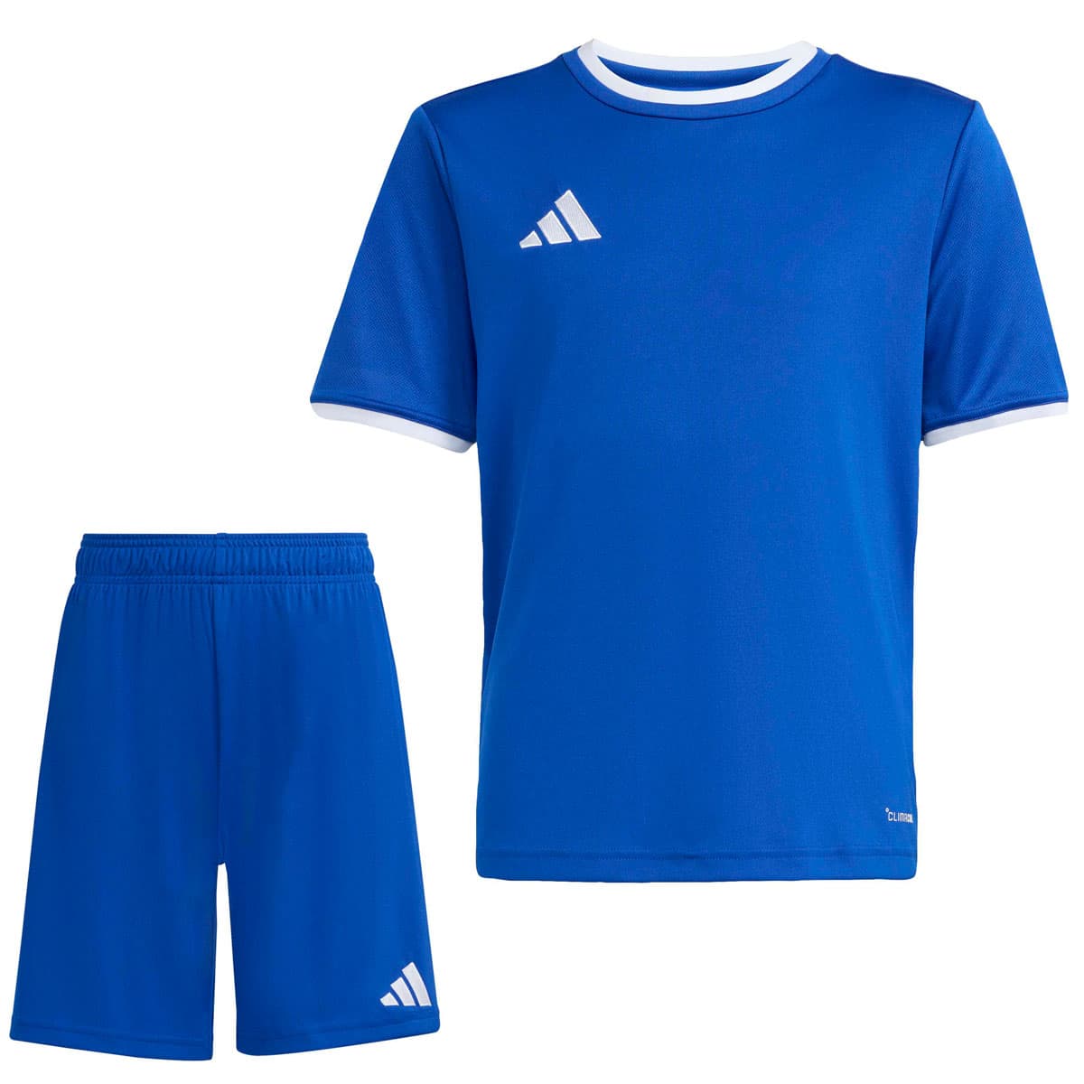 adidas Entrada 26 Voetbaltenue Kids in Blauw Wit
