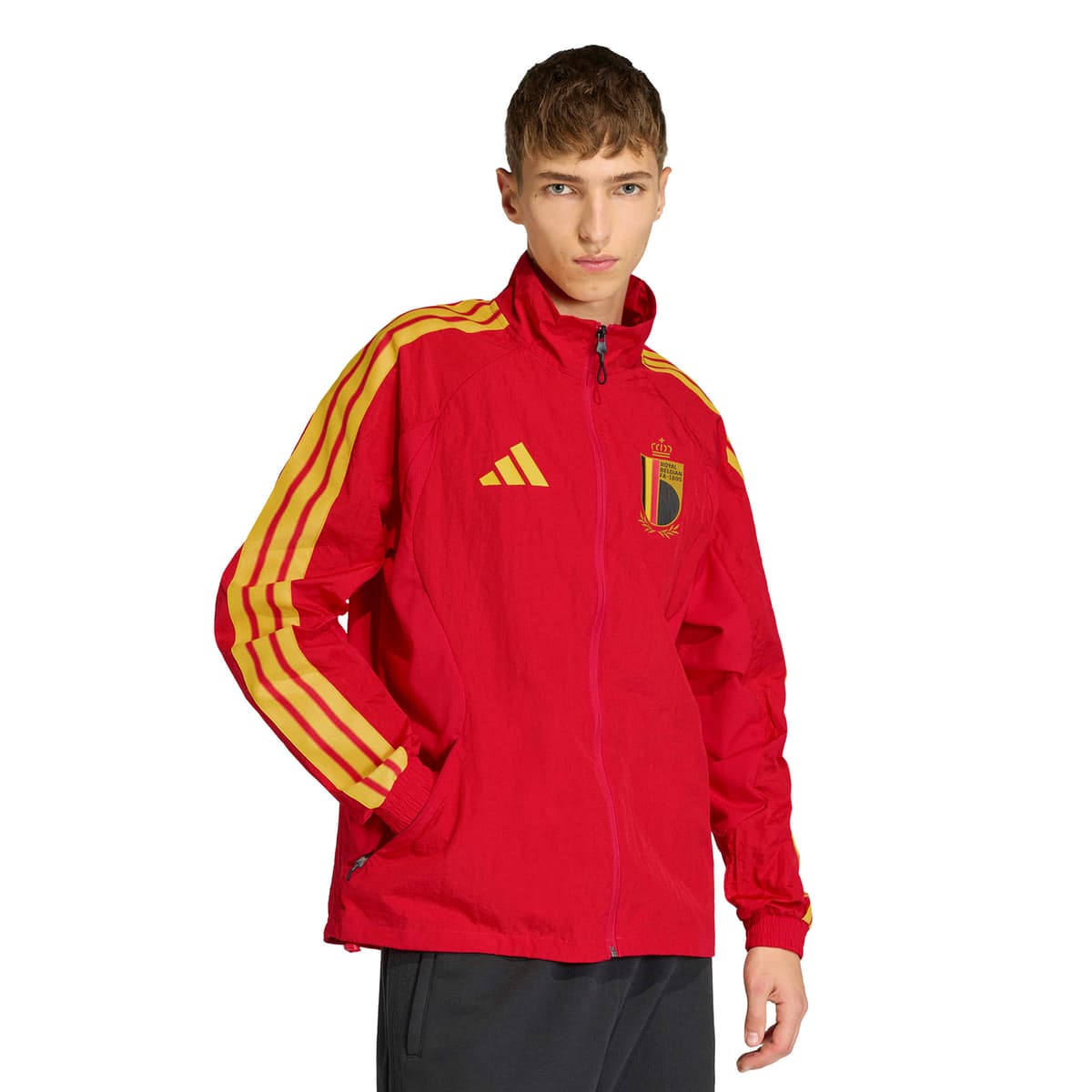 adidas België Anthem Trainingsjack 2026-2028